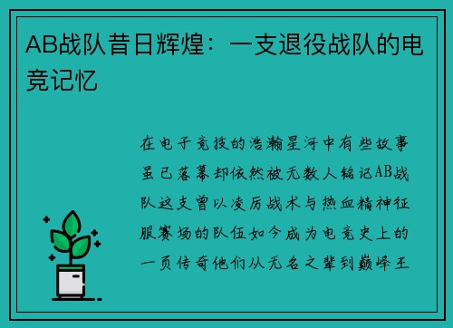 AB战队昔日辉煌：一支退役战队的电竞记忆